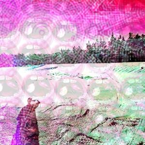 Meet your Posher, Crown